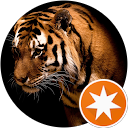 Sam Joshva Baskar Jesudasan profile picture